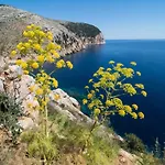 Vila Bella Vista With Sea View - Happy